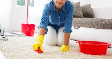 Keeping your carpets clean just with 8 steps